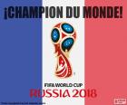 Fransa Rusya 2018 futbol Dünya Kupası şampiyonu oldu. Bu galibiyetle onlar ikinci 1998 başlık sonra dünya şampiyonu yıldız olsun